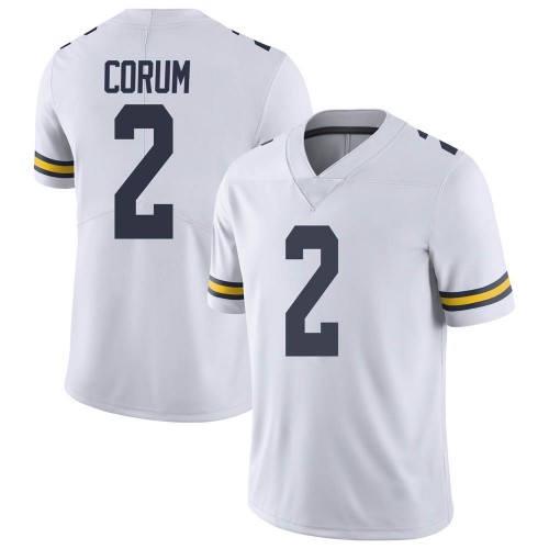 Blake Corum Michigan Wolverines Men's NCAA #2 White Limited Brand Jordan College Stitched Football Jersey CGP8554CE